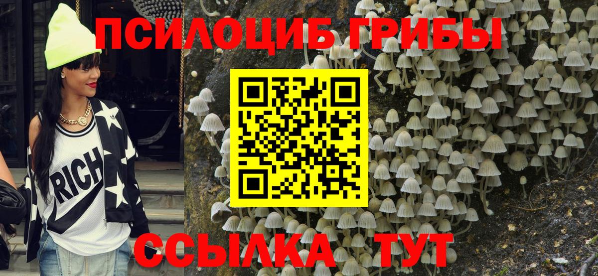 Галлюциногенные грибы Magic Shrooms Чернушка